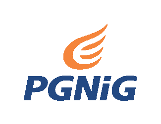 www.pgnig.
