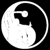 R hińskie sztuki walki znane są popularnie pod nazwą: Kung Fu lub Wushu.
