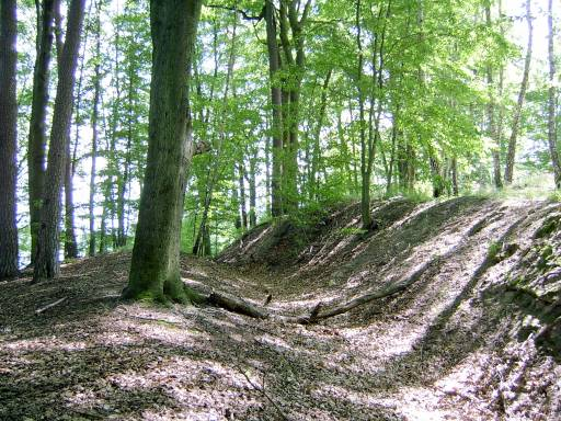 Jezioro Łubówko 77.50 gmina Drezdenko, Nadleśnictwo Smolarz, Leśnictwo Radowo Ochrona i zachowanie unikalnego krajobrazu morenowego oraz buczyny o naturalnym charakterze. krajobrazowy Czaplenice 8.