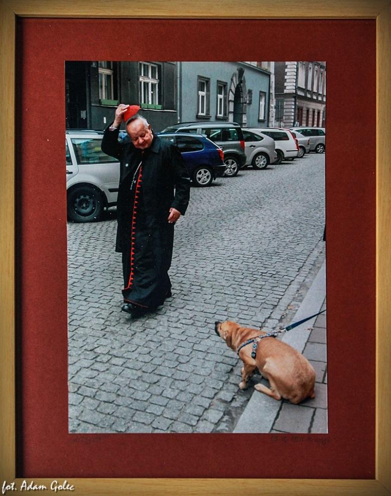 Fotografia Kardynał. Ofiarodawca: Marek Lasyk fotograf.