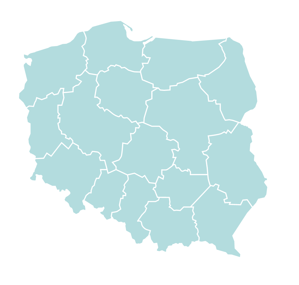 Plany dotyczące projektu 4. Plany dotyczące projektu W 2015 r.