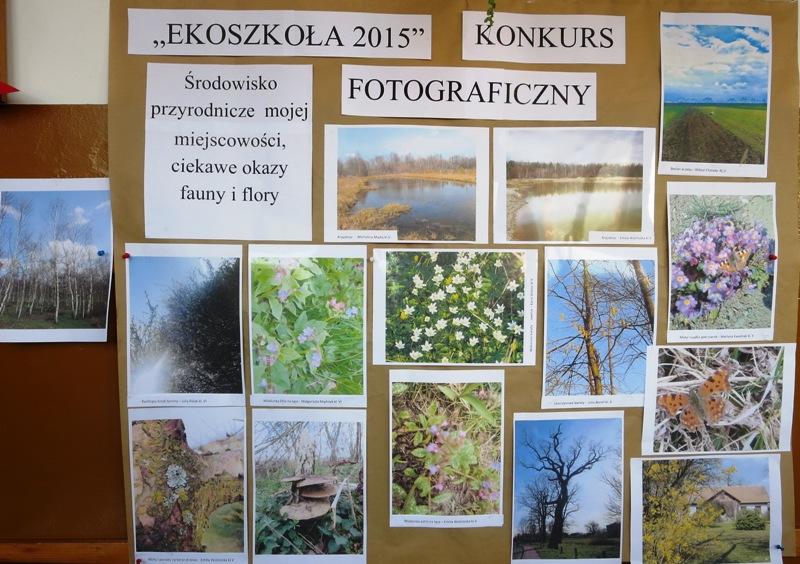 KONKURS FOTOGRAFICZNY Konkurs fotograficzny cieszył się dużym zainteresowaniem wśród dzieci kl. V- VI.
