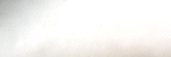 Pyłek na