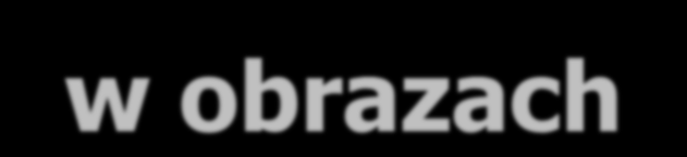Metadane w obrazach Oracle Multimedia obsługuje następujące formaty metadanych zagnieżdżonych w obrazie: EXIF (Exchangeable Image File Format) ekstrakcja IPTC-IIM (International Press