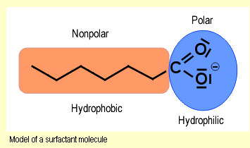 (węglowodorowy) głowa część hydrofilowa zwykle grupy: -OH