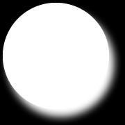 81