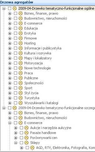 Czym będzie się charakteryzować zmiana kształtu drzewka tematyczno-funkcjonalnego? Drzewko tematyczno-funkcjonalne będzie tworzone w dwóch wersjach ogólnej i szczegółowej.