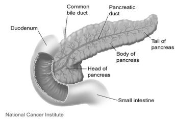 (World Cancer Report) - w 2000 r.