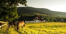 Atrakcje turystyczne regionu