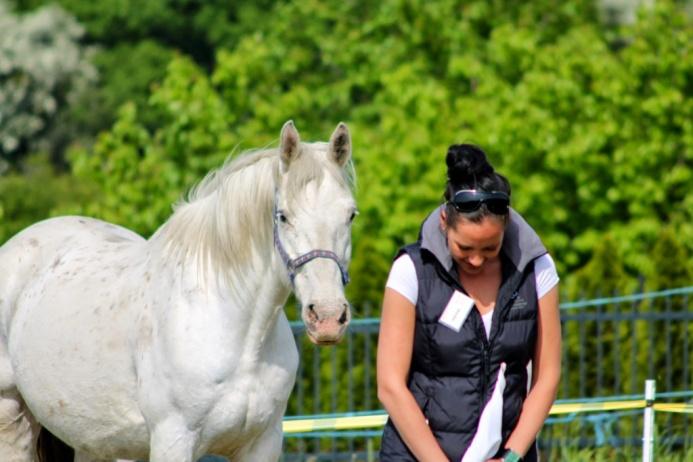 W warsztatach horse coachingu trenerami są konie, przygotowne do tej roli.