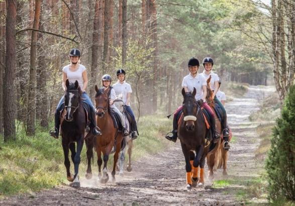 O NAS współpracujemy ze sobą od kilku lat na wielu płaszczyznach, znamy się i znamy wzajemnie swoje możliwości w naszym gronie znajdują się osoby mające doświadczenie w zarządzaniu obiektem