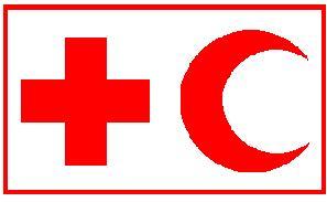 Nazwa: Międzynarodowy Komitet Czerwonego Krzyża Powstał: 17 luty 1863r.