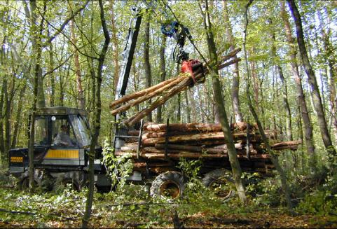 Otoczenie prawno-rynkowe nowej działalności Dyrektywa wskaźnikowa UE (3 x 20 %) Cele wskaźnikowe