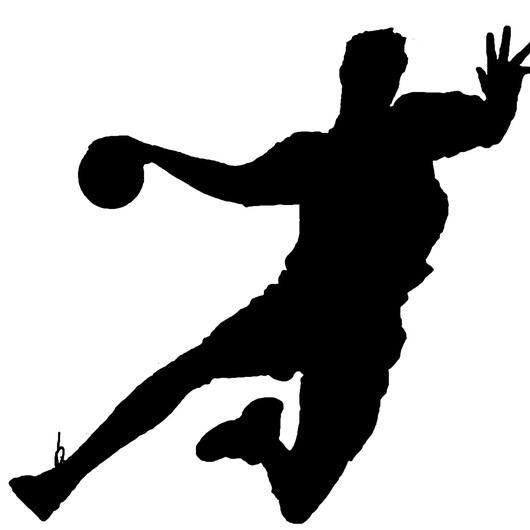21 listopada na naszej hali sportowej odbyły się zawody w piłce ręcznej w kategorii szkoły podstawowej. Dziewczęta z naszej szkoły przeszły dalej, chłopcy niestety przegrali mecz.