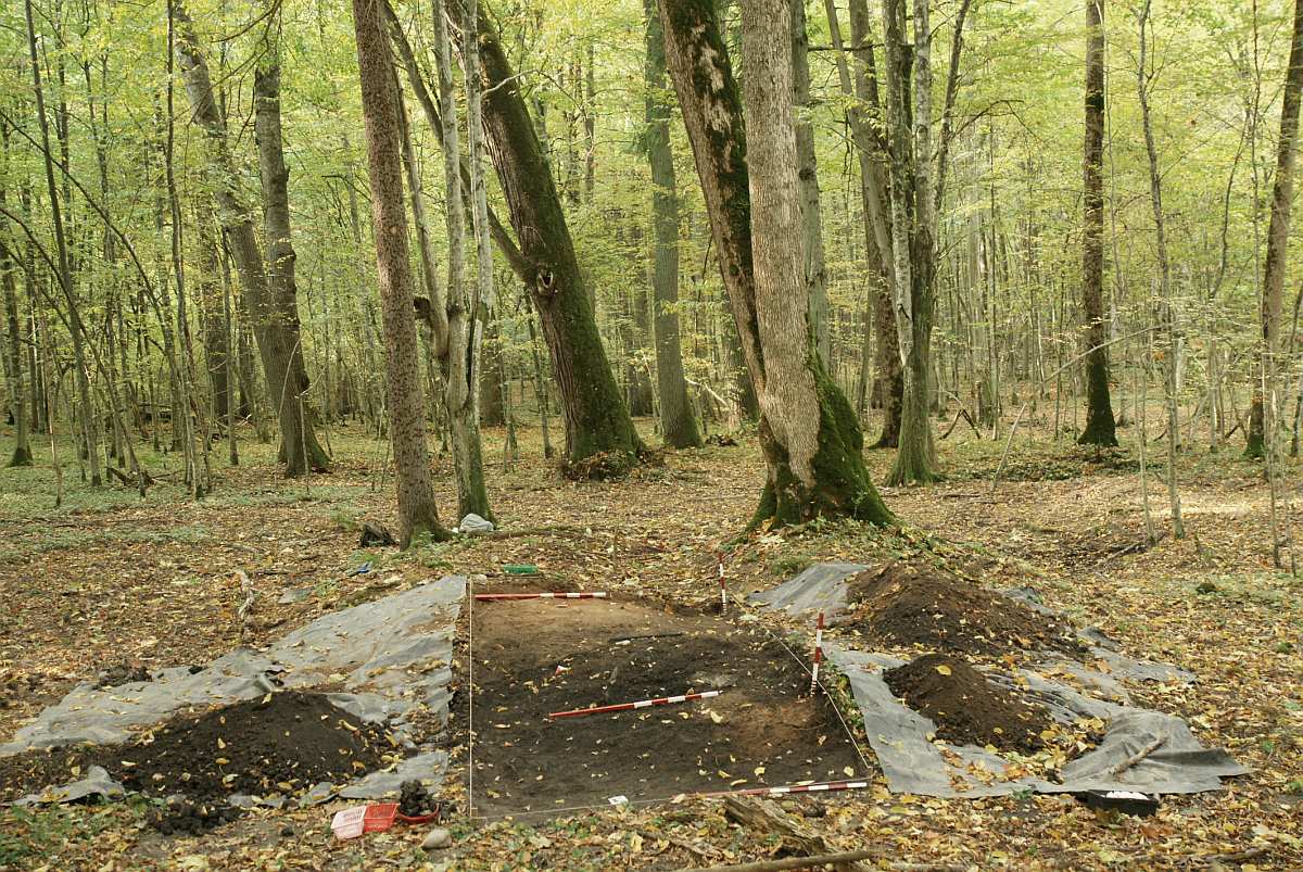 Badania archeologiczne w Puszczy Białowieskiej Tomasz Samojlik Dariusz Krasnodębski Badania w ramach historii przyrodniczej Cel dyscypliny: zrozumienie, jak i z jakim skutkiem człowiek w przeszłości