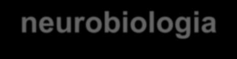 ADD / ADHD - neurobiologia Długotrwała (często wieloletnia), bezpieczna i skuteczna farmakoterapia jest metodą o udowodnionej skuteczności w ADHD.