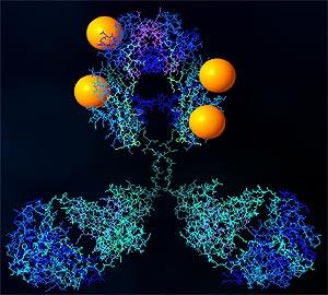 roku: rytuksymab - chimeryczne, ludzko-mysie przeciwciało