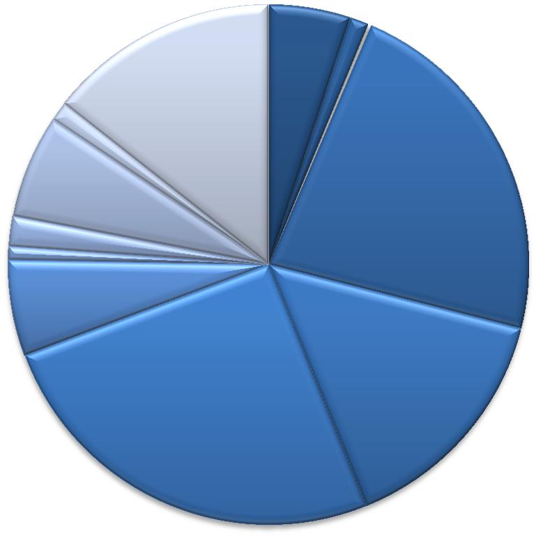 Wykres nr 12 Przyczyny dyskwalifikacji zutylizowanej krwi i jej składników w latach 2010-2013 Przyczyny dyskwalifikacji zutylizowanej krwi i jej składników w latach 2010 2013 14,4% 5,1% 1,2% 0,2%