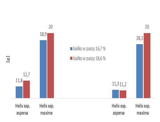 Ryc. 2. Masa ciała ślimaków dojrzałych Zagrody polowe Zagrody szklarniowe P<0,05 P<0,01 Ryc. 3.