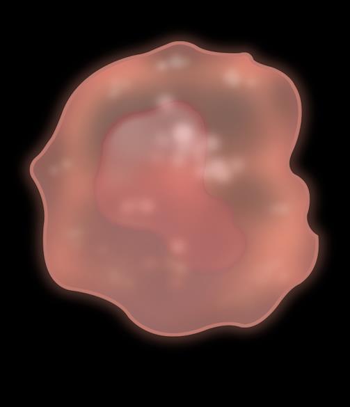 - - anti-ctla-4 T cell T cell + + + - - - - - - TCR MHC PD-1 PD-L1 anti-pd-1 PD-1 PD-L1