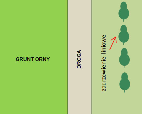 Za międzyplony/pokrywę zieloną w ramach obszaru proekologicznego uznawane będą mieszanki utworzone z co najmniej 2 gatunków roślin z poniższych grup uprawnych: o zboża, o oleiste, o pastewne, o