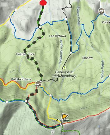 Przełęcz Brona Odcinek trasy Kolor szlaku Czas przejścia (wg mapy) Zawoja Markowa (700m n.p.m.) - PTTK Markowe Szczawiny (1200m n.p.m.) PTTK Markowe Szczawiny (1200m n.