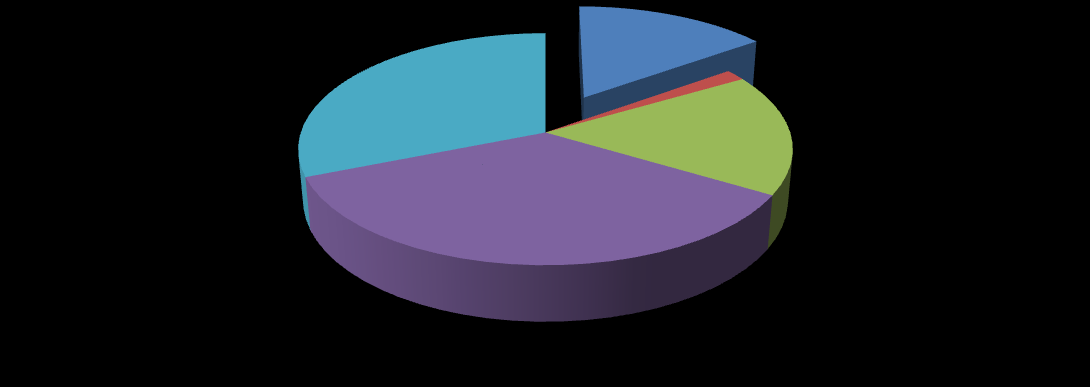 Zgłoszenia wynalazków i wzorów użytkowych dokonane w UPRP w latach 2009-2013 26% 39% 12% 2% 21% instytuty badawcze jednostki naukowe PAN osoby fizyczne podmioty sektora gospodarki Patenty i