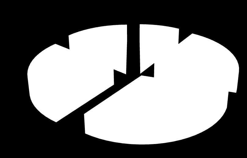 Share of individual segments in
