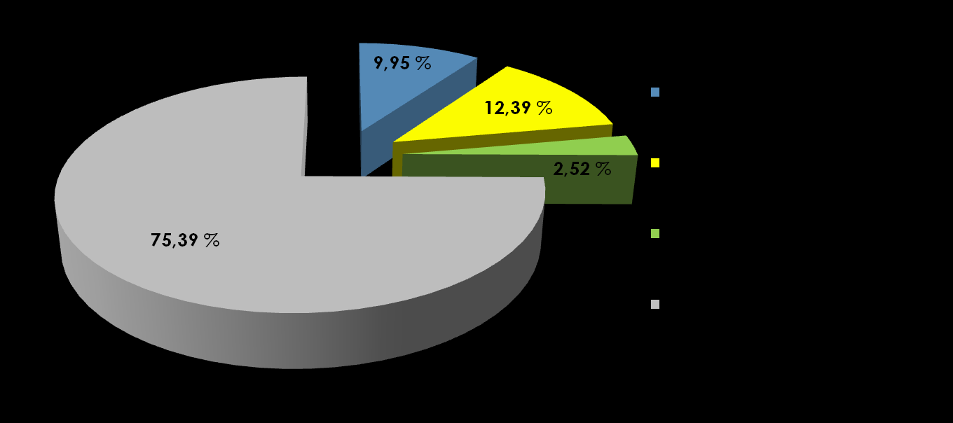 Stockholders Total number of shares amounts