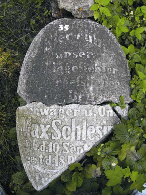 Nr 35. Mosze, syn Dowa Szlezingera (Max Schlesinger) Pomnik - piaskowiec, 283 cm (wys.) Podstawa pomnika - 81 cm (wys.) x 81 cm (szer.) Tablica - marmur, 87cm (wys.) x 30 cm (szer.