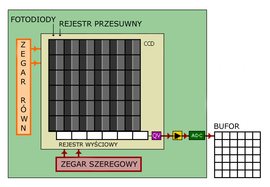 Aparaty cyfrowe Typy matryc Matryce CCD (Charge Coupled Devices) budowa filtr