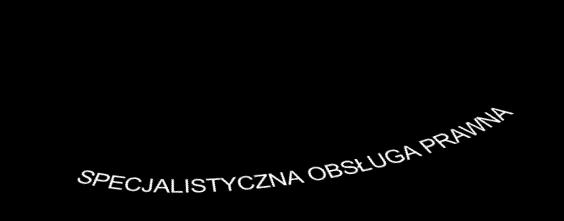 Klientów w Polsce większośd Klientów z Listy 500 Rzeczpospolitej Jedyna firma