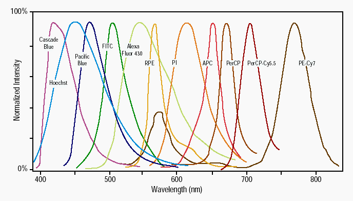 Spektra emisji fluorochromów: