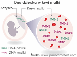1. Ustalenie ojcostwa przy użyciu nowoczesnej w 100% bezpiecznej metody DNA zawarte jest we wszystkich komórkach naszego ciała, które posiadają jądro komórkowe.