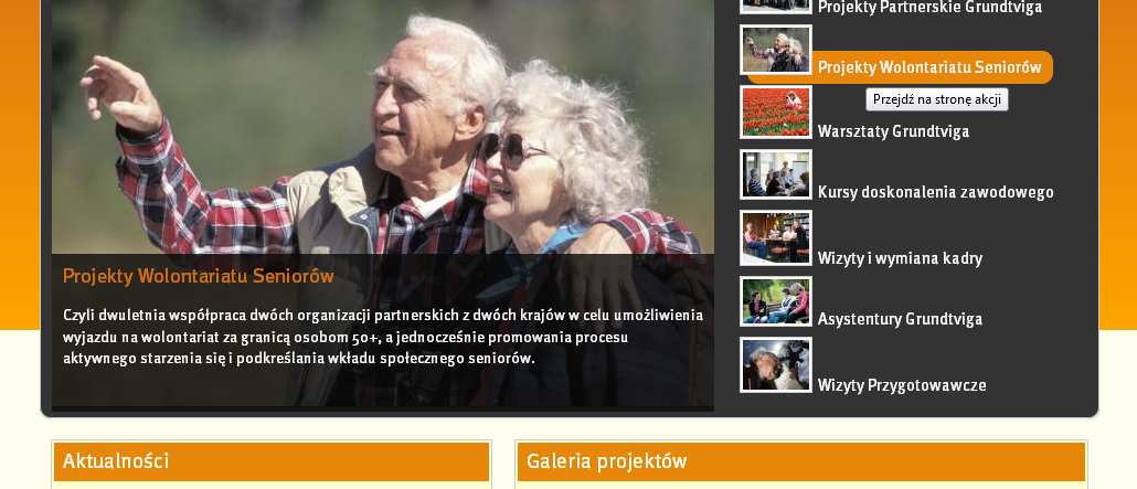Programu Grundtvig - Fundacja