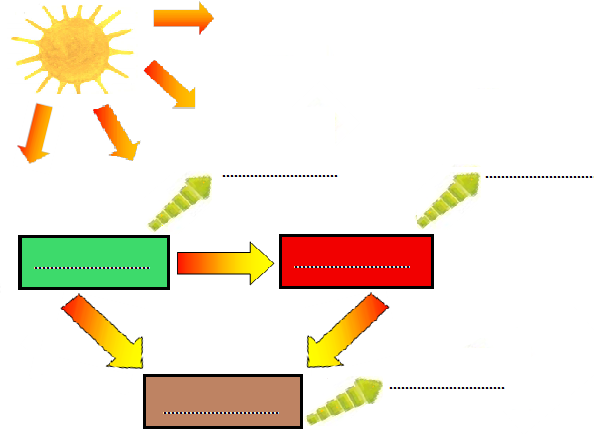 Ćwiczenie 4. Przepływ energii w ekosystemie. (3 pkt) Dokonaj analizy schematu ilustrującego przepływ energii przez ekosystem, a następnie w wykropkowane miejsca wpisz odpowiednie określenia.