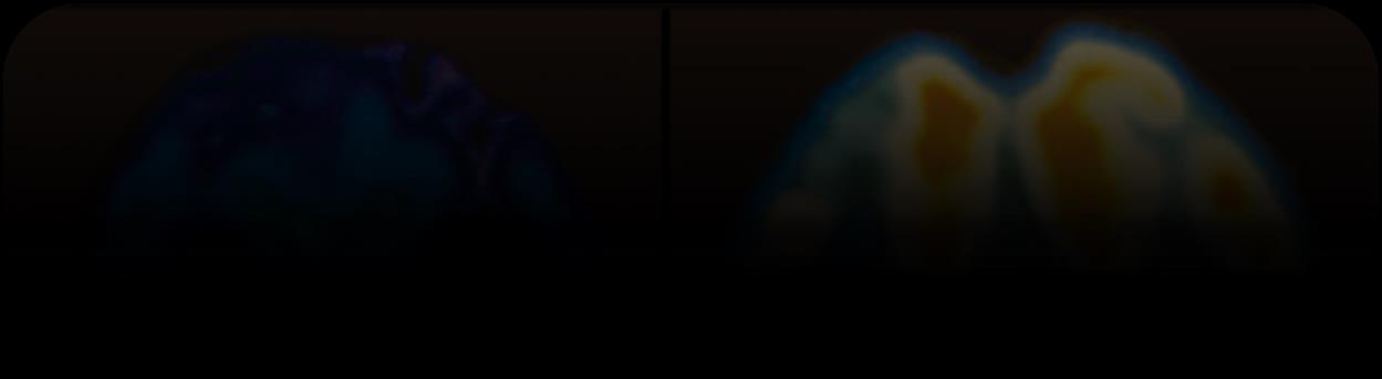 BADANIA Z