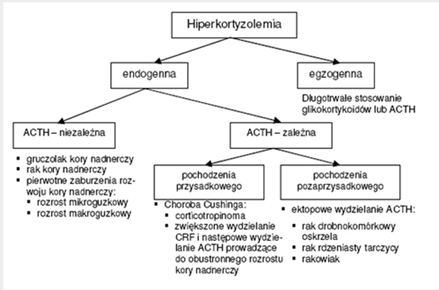 Zespół Cushinga - zespół paranowotworowy o wielu obliczach Zespół objawów, zwany zespołem Cushinga wywołany jest stanem zwiększonego wydzielania glikokortykoidów - hiperkortyzolemią.