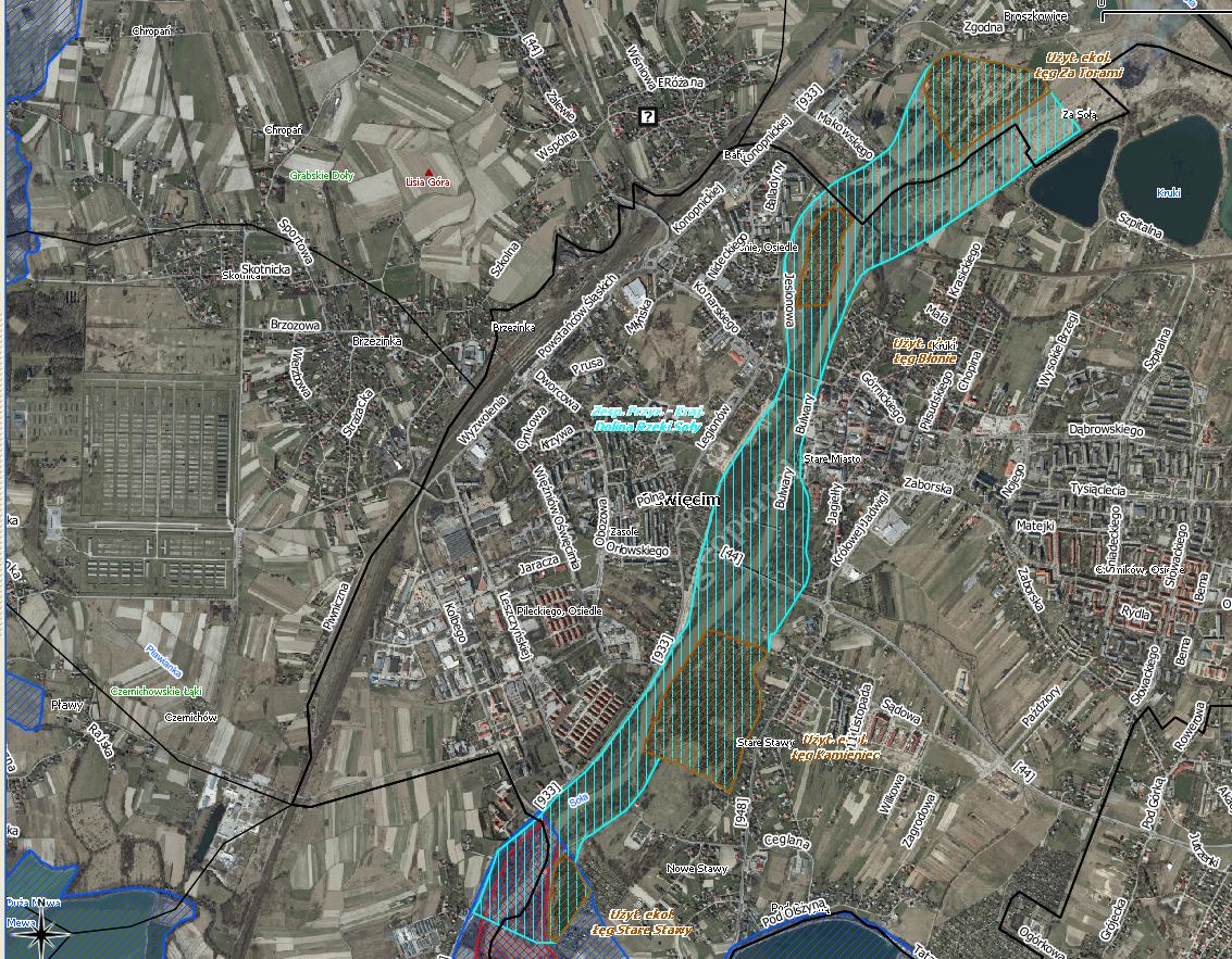 Formy ochrony przyrody Obszary Natura 2000 - Stawy w Brzeszczach - Dolina