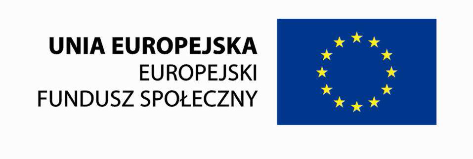 Flaga Unii Europejskiej w jęz. Polskim i angielskim Logotypy w wersji czarno-białej Tekst o współfinansowaniu projektu w jęz. Polskim i angielskim Tekst w jęz.