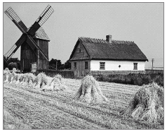 d) Muzeum to instytucja powołana do ochrony zabytków. 2. Kto tworzy historię? Podkreśl prawidłową odpowiedź. a) wynalazcy i odkrywcy, b) wszyscy ludzie, c) żołnierze i dowódcy, d) wybitni politycy 3.