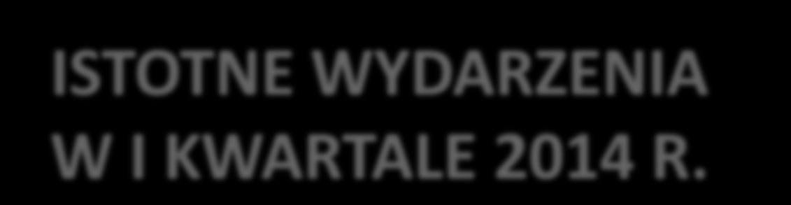 ISTOTNE WYDARZENIA W I KWARTALE 2014 R. REALIZACJA ISTOTNYCH PROJEKTÓW Kontynuacja prac rozwojowych w zakresie usługi Polanie.