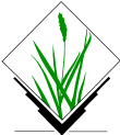 Oprogramowanie typu Open Source GRASS: Geographic Resources Analysis Support System, commonly referred to as GRASS GIS, is a Geographic Information System (GIS) used for data management, image