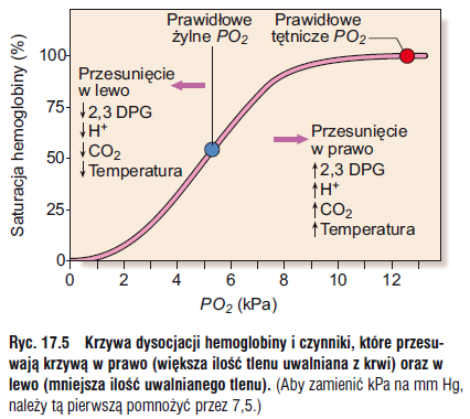 Hemoglobina (HGB, Hb) HGB jest białkiem znajdującym się w erytrocytach, składa się z dwóch par łańcuchów białka globiny α i nie-α (β, γ lub δ) oraz hemu złożonego z pierścienia protoporfiryny IX i