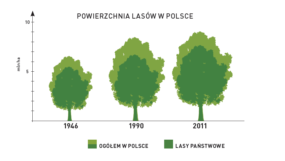 4 Lasów w