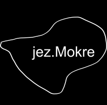 Def.: oszr zjęty przez wody stojąe w jeziorh nturlnyh i sztuznyh: ) jezioro nturlne to nturlny ziornik śródlądowy, stnowiąy wypełnione wodą zgłęienie terenu o rzegh uksztłtownyh pod wpływem dziłni