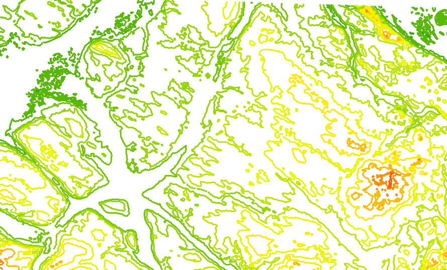 Model rzeźby terenu numeryczny model terenu NMT Digital Elevation