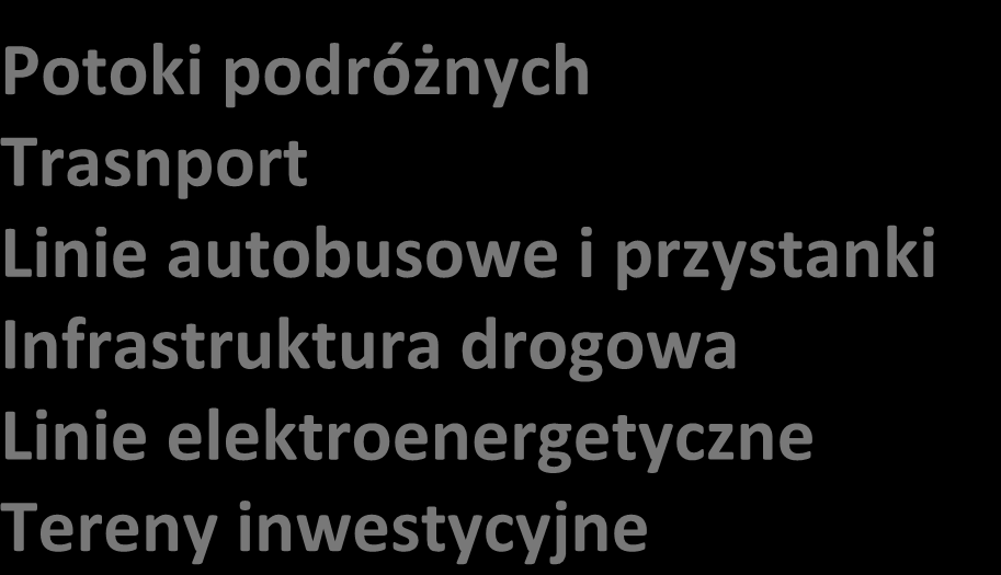 Potoki podróżnych Trasnport Linie