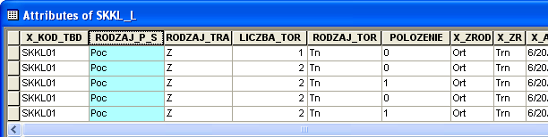 Sieć dróg i kolei SKKL Tory