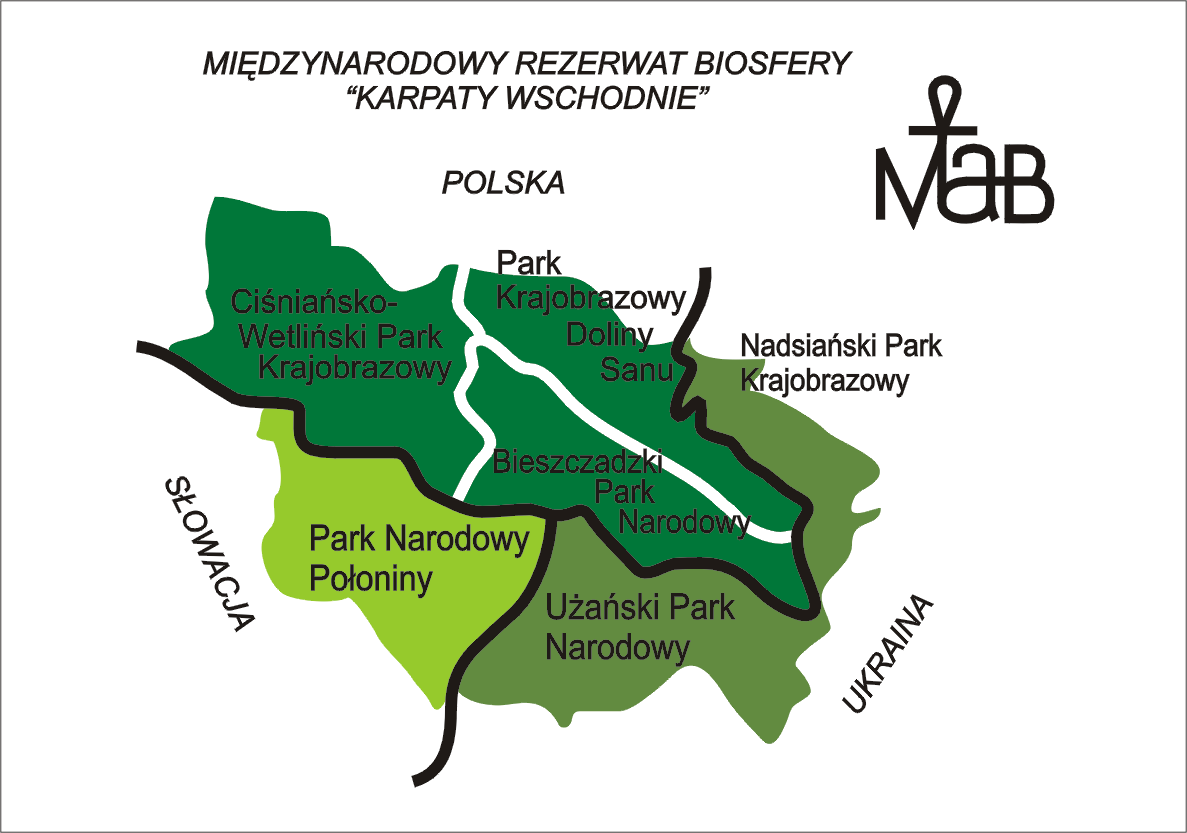 POTENCJAŁ